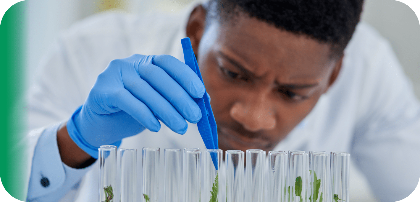 Scientist handling plant samples in test tubes.